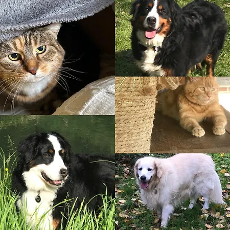 L'abreuvoir De Riviere