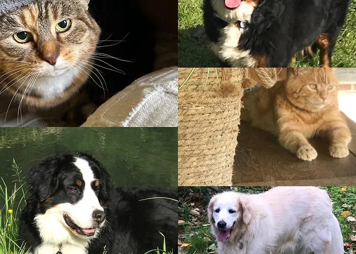 L'abreuvoir De Riviere